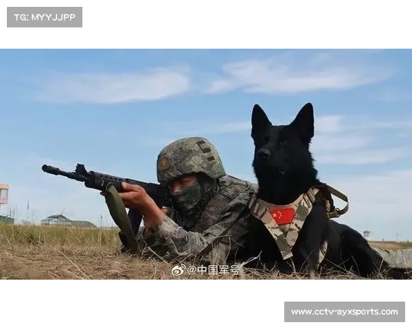 中俄蒙三国边防合作2025联合演练提升应对边境威胁能力 中俄蒙三国边防合作2025联合演练提升应对边境威胁能力